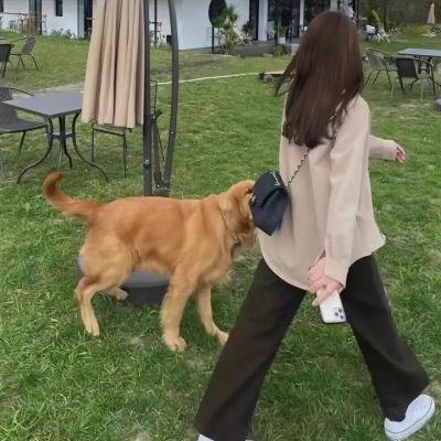 潮与虎第二季